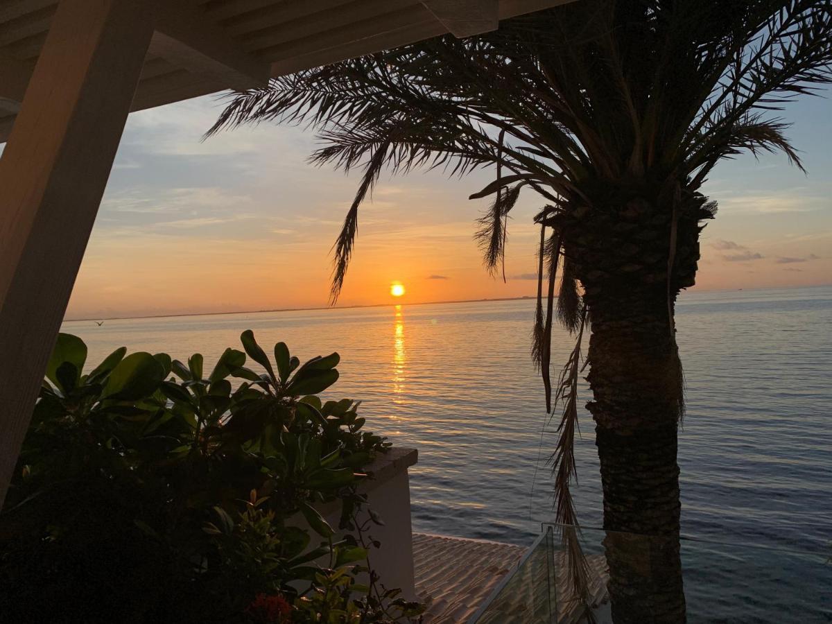 Villa Sha - Cancun Luxury Beachfront Dış mekan fotoğraf